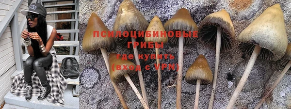 гашик Абдулино