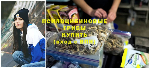 ПСИЛОЦИБИНОВЫЕ ГРИБЫ Алексеевка
